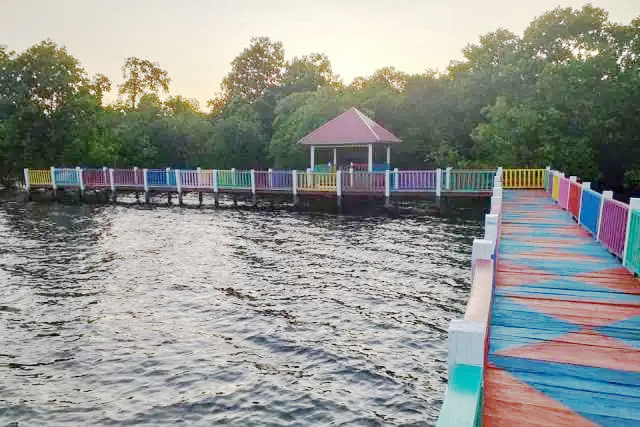 Jelajahi, nikmati, dan lestarikan keindahan Wisata Mangrove Banda Buton Utara